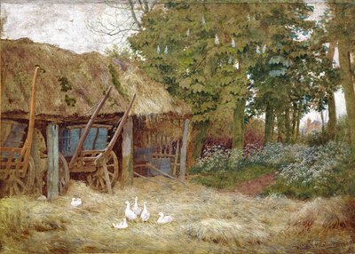Ducks by Wilmot Pilsbury